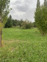 Продается участок в сокулукском районе.     Село Шалта - фото 1