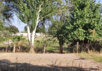 Продаю жилой дом, участок 13соток, 60м2, с. Фрунзе - фото 1