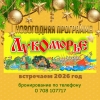 Новогодняя программа "Лукоморье".  Дед Мороз и Снегурочка на детский новогодний праздник.