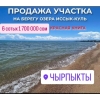 Продаётся участок на берегу Иссык-Куля:  6 соток,  15 на 40
село Чырпыкты,  300 м.  до берега - фото 1