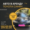 Сдаю авто в аренду!   Toyota Camry,   2005 года - фото 1