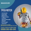 Требуются:  — Сантехник,  — Электрик,  — Дорожник,  — Газовик,  — Прораб,  — Котельщик.  — Технолог. - фото 1