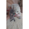 В продаже очаровательные котята 3 девочки,  3 мальчика (Skottish Fold,  Scottish Straight) - фото 3